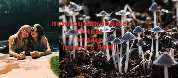 мет Баксан