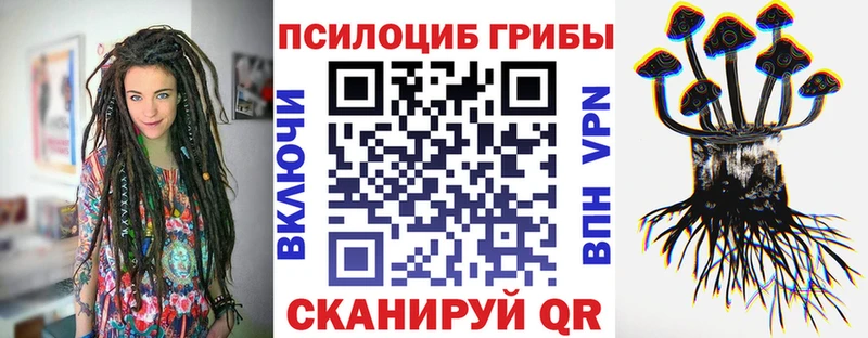 это официальный сайт Гвардейск Галлюциногенные грибы Cubensis