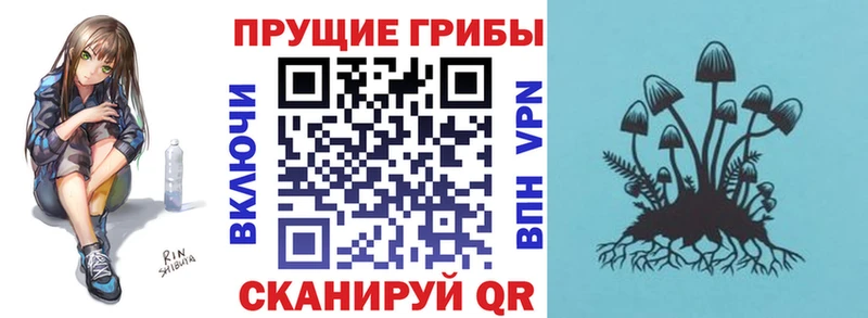 Галлюциногенные грибы GOLDEN TEACHER Гвардейск